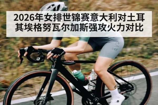 2026年女排世锦赛意大利对土耳其埃格努瓦尔加斯强攻火力对比 | kaiyun